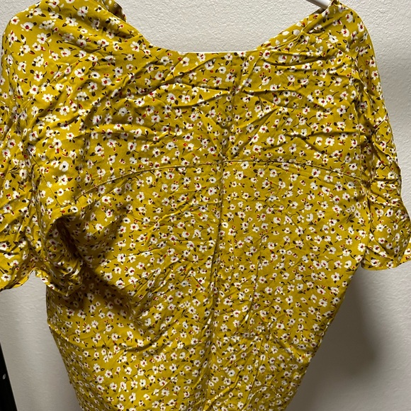 Niko and - Picture 2 of 3